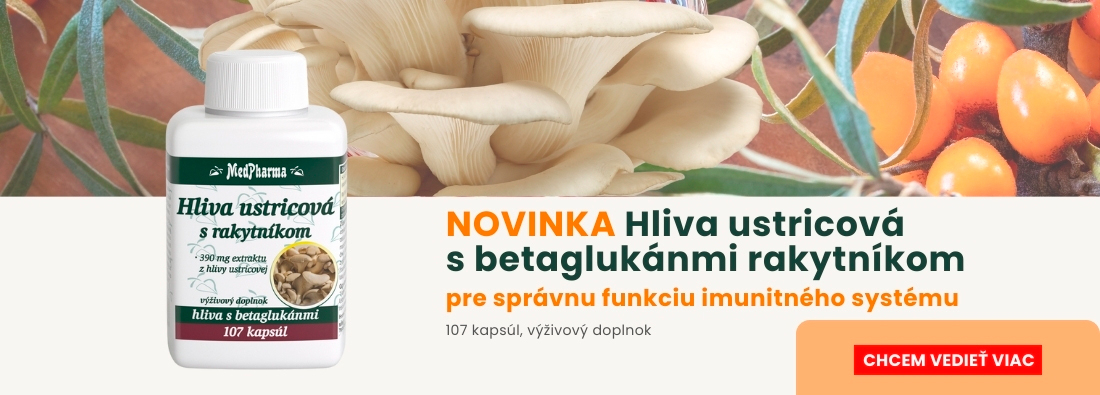 Hliva ustricova